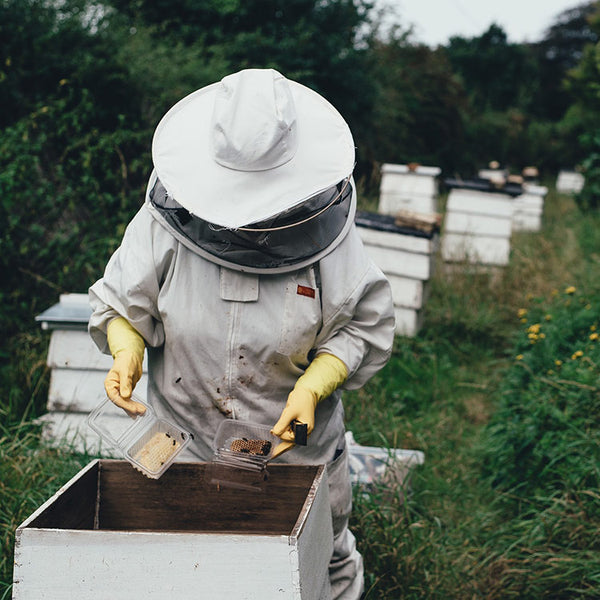 Premium Honey sourced from diligent and passionate beekeepers from across New Zealand.